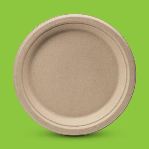Review: 100% Compostable Paper Plates - Heavy Duty Eco-Friendly Plates